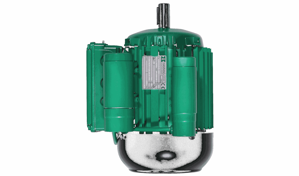 Электродвигатель Grundfos MOTOR 1X220V-4 0,75KW B3 HANNING /spare, артикул: 96588856