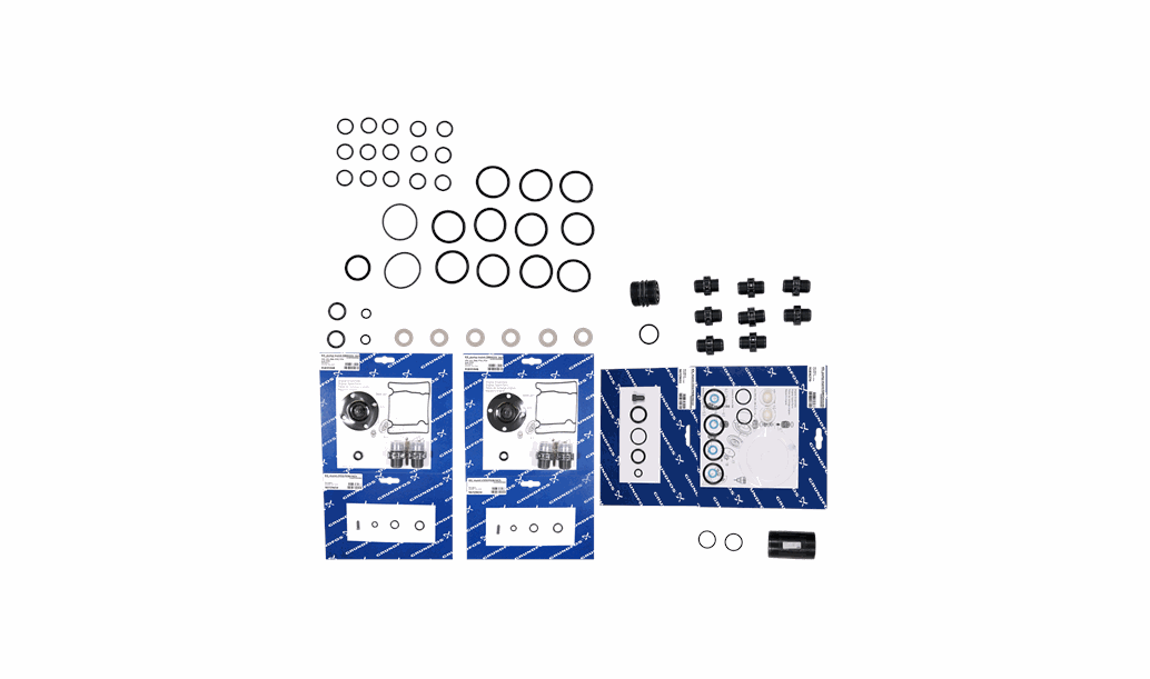 Комплект для обслуживания Grundfos Kit, maint.ClO2/2500g/h/>3bar/>Jan.04, артикул: 96689108″ width=»400″ height=»400″ /></td>
<td style=